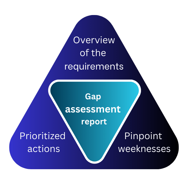 Gap Assessment Report